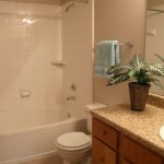 Ascension Point Condominiums Apartment Bathroom