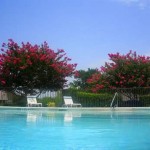 Cedar Ridge Townhomes Apartment Pool Area
