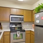 Forest Ridge Apartment Kitchen