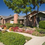 Forest Ridge Apartment View