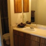 Landers Lane Townhomes Apartment Bathroom