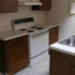 Pecan Square Apartment Kitchen
