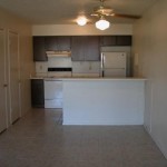 Pecan Square Apartment Living Room
