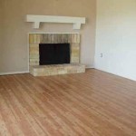 Shady Valley Square Apartment Fireplace