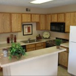 Springfield at Ballpark Way Apartment Kitchen