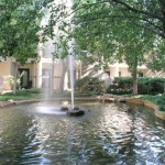 The Enclave At Arlington Aparment Lake View