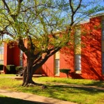 The Village Condominiums Apartment Property Ground
