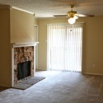 Arlington Oaks Apartment Fireplace