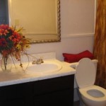 Meadow Creek Apartment Toilet