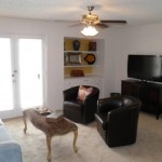 Remington Meadows Apartment Living Room 2
