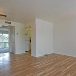 Shady Valley Square Apartment Living Room