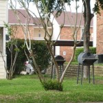 Wimbledon Court Apartment Garden
